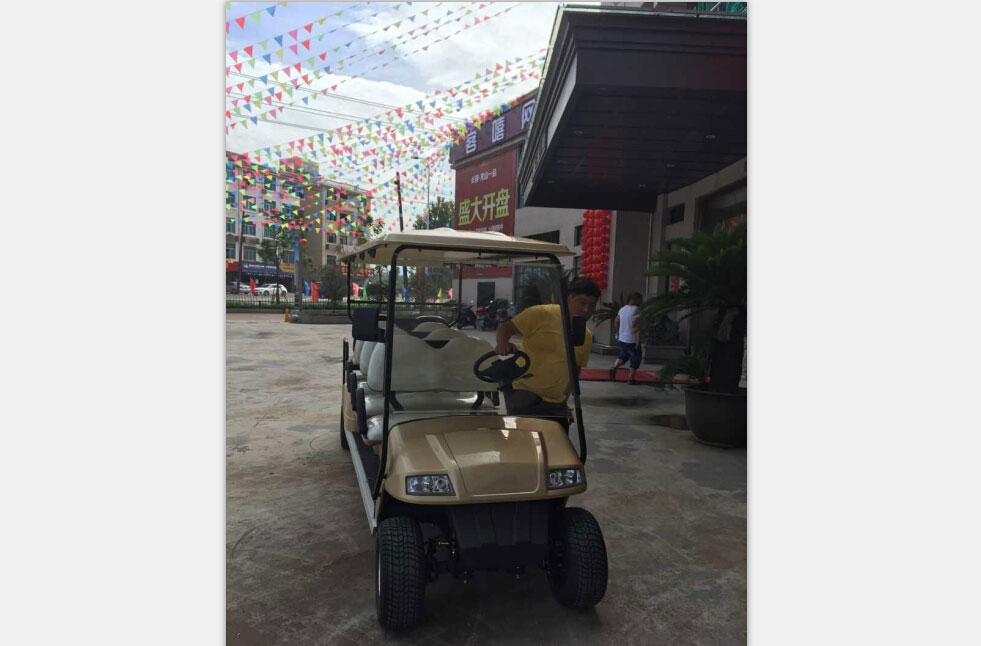 龙山一品地产电动高尔夫球车