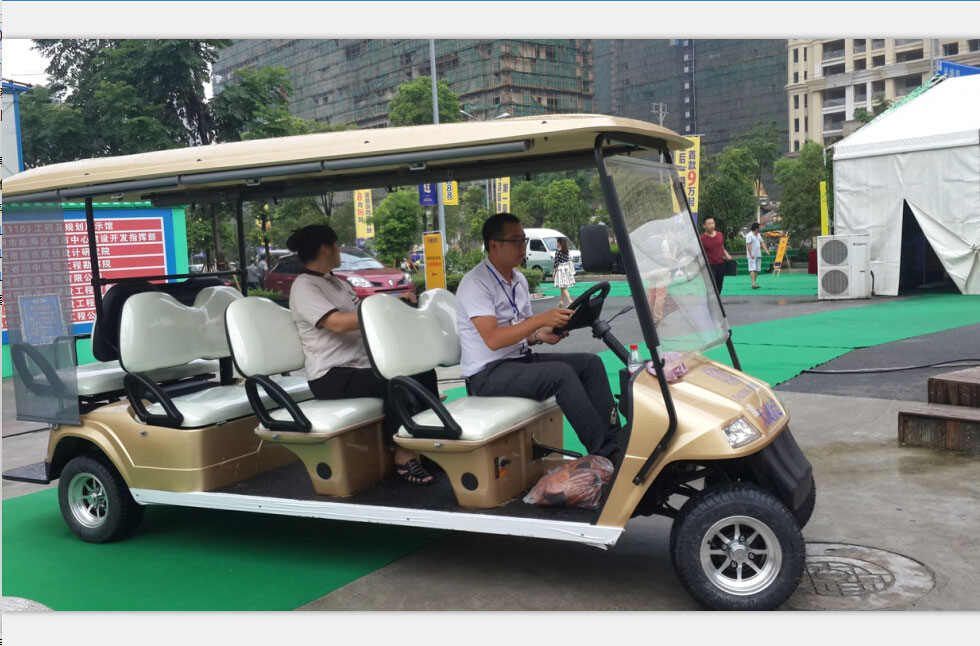 大诚金廷电动高尔夫球车