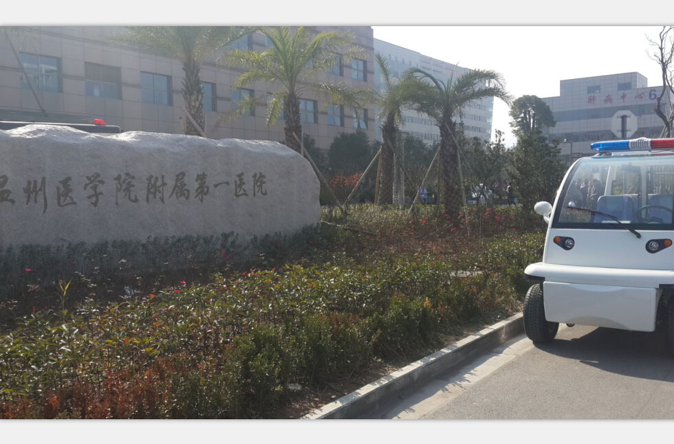 附属一医电动巡逻车电动接送车